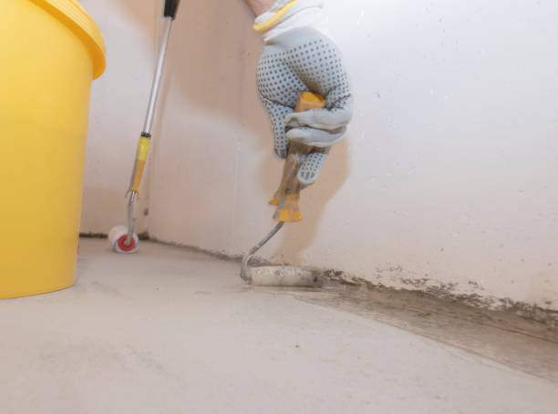 Best Pest Control for Hotels  in Colorado City, AZ